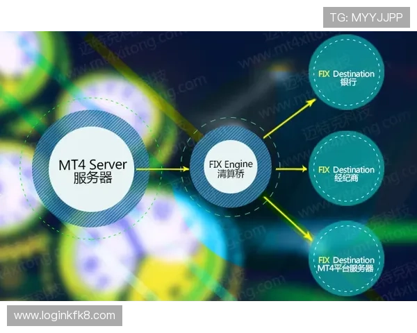 凯发体育正规平台如何确保用户资金与信息安全